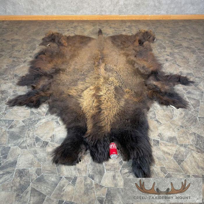 American Buffalo (Bison) Taxidermy Hide For Sale - Image 2