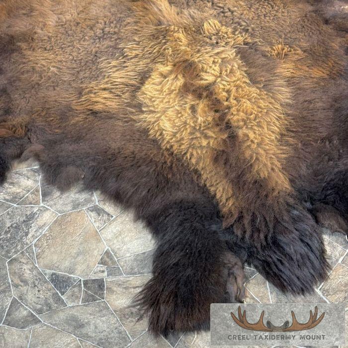 American Buffalo (Bison) Taxidermy Hide For Sale - Image 3
