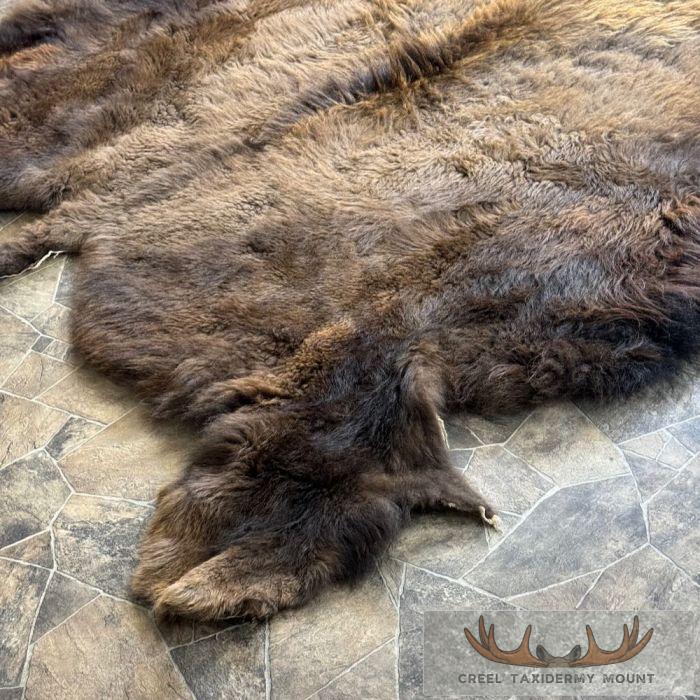 American Buffalo (Bison) Taxidermy Hide For Sale - Image 4