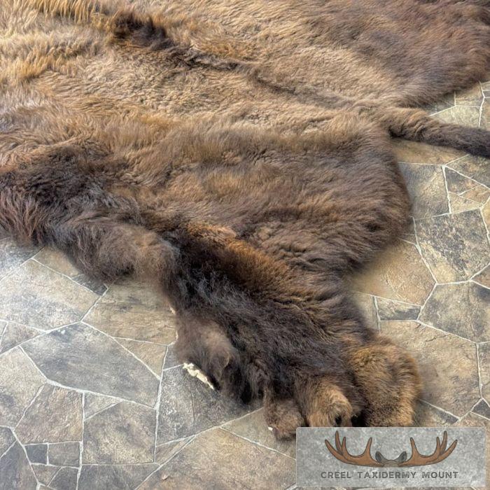American Buffalo (Bison) Taxidermy Hide For Sale - Image 5
