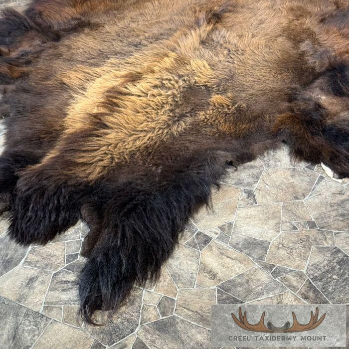 American Buffalo (Bison) Taxidermy Hide For Sale - Image 6