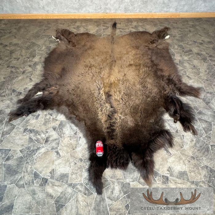 American Buffalo (Bison) Taxidermy Hide For Sale - Image 2