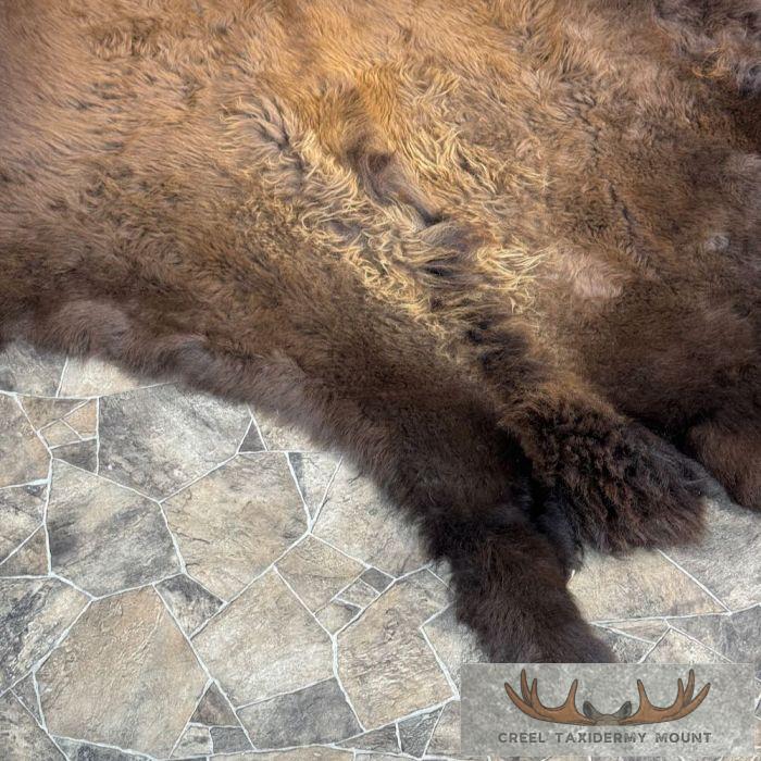 American Buffalo (Bison) Taxidermy Hide For Sale - Image 3