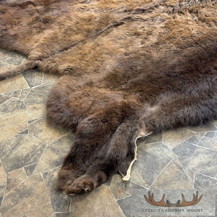 American Buffalo (Bison) Taxidermy Hide For Sale - Image 4