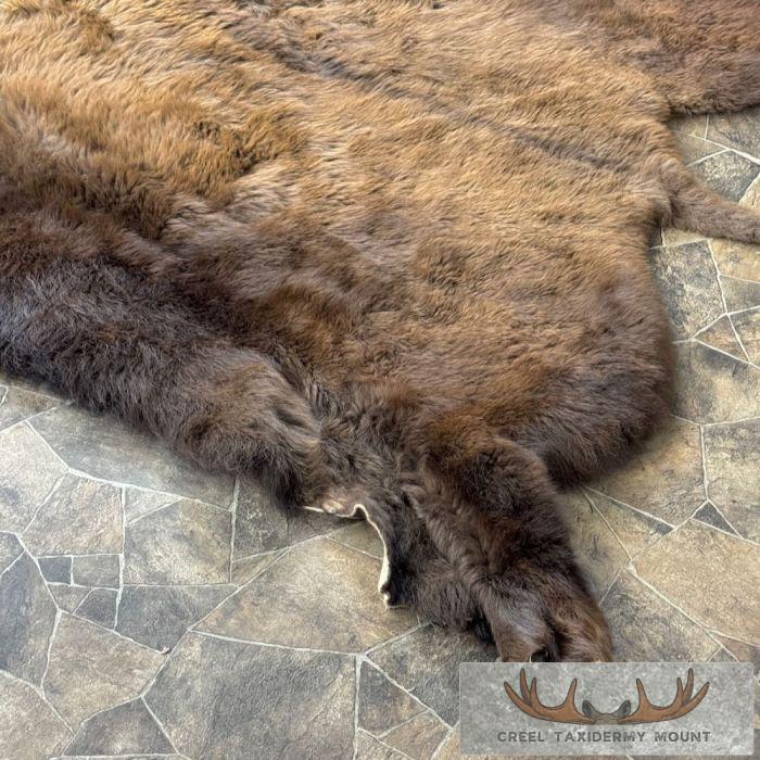 American Buffalo (Bison) Taxidermy Hide For Sale - Image 5