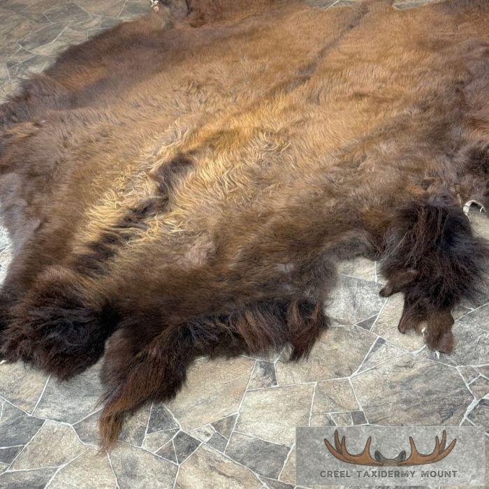 American Buffalo (Bison) Taxidermy Hide For Sale - Image 6