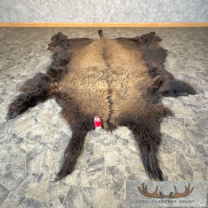 American Buffalo (Bison) Taxidermy Hide For Sale - Image 2
