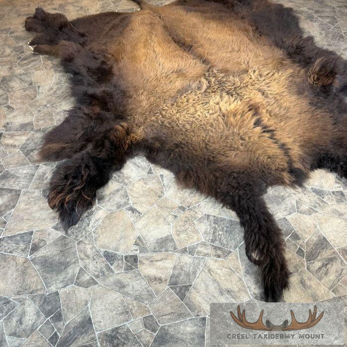 American Buffalo (Bison) Taxidermy Hide For Sale - Image 3