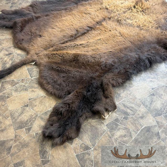 American Buffalo (Bison) Taxidermy Hide For Sale - Image 4