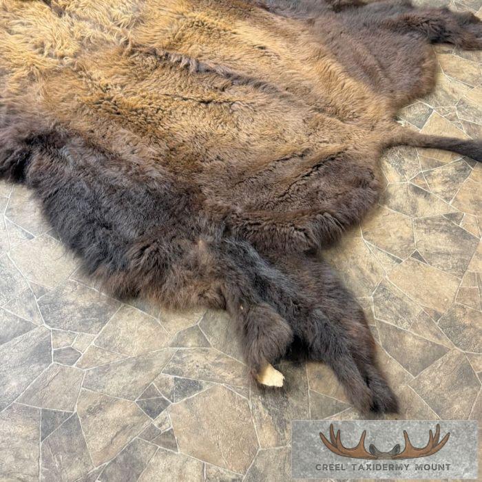 American Buffalo (Bison) Taxidermy Hide For Sale - Image 5