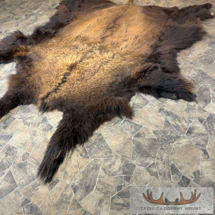 American Buffalo (Bison) Taxidermy Hide For Sale - Image 6