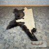 American Buffalo (Bison) Taxidermy Hide For Sale - Image 7