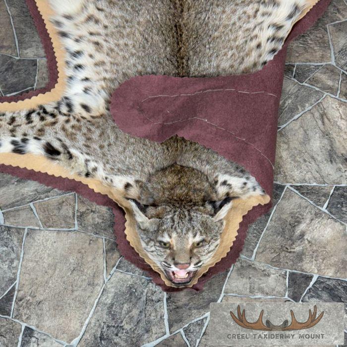 Bobcat Taxidermy Rug Mount For Sale - Image 10