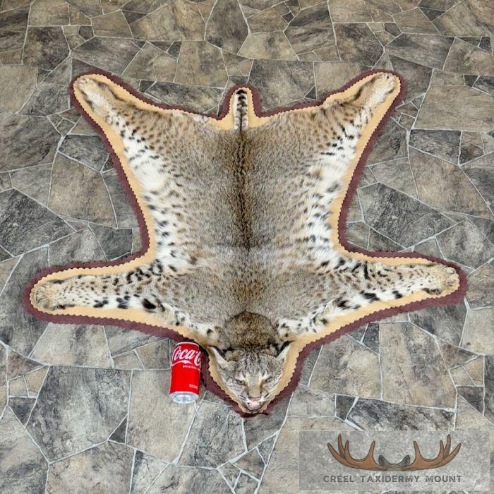 Bobcat Taxidermy Rug Mount For Sale - Image 2
