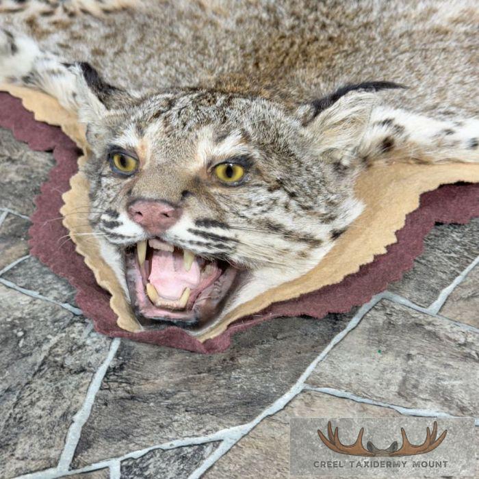 Bobcat Taxidermy Rug Mount For Sale - Image 4