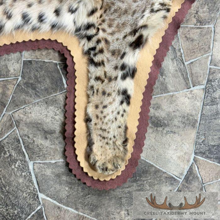 Bobcat Taxidermy Rug Mount For Sale - Image 6