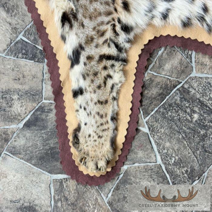 Bobcat Taxidermy Rug Mount For Sale - Image 9