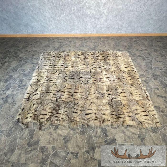 African Aardwolf Taxidermy Blanket For Sale