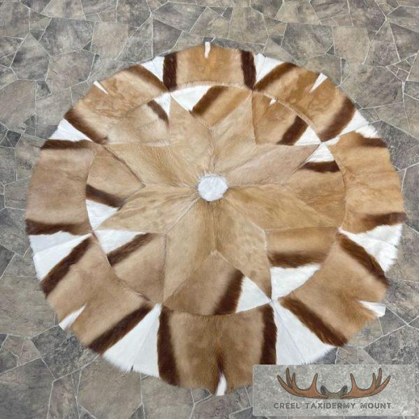 African Springbok Hide Taxidermy Throw For Sale