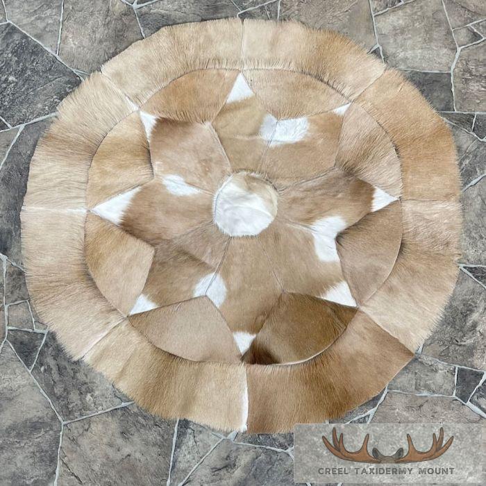 African Springbok Hide Taxidermy Throw For Sale