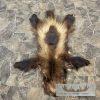 Alaskan Wolverine Tanned Hide For Sale