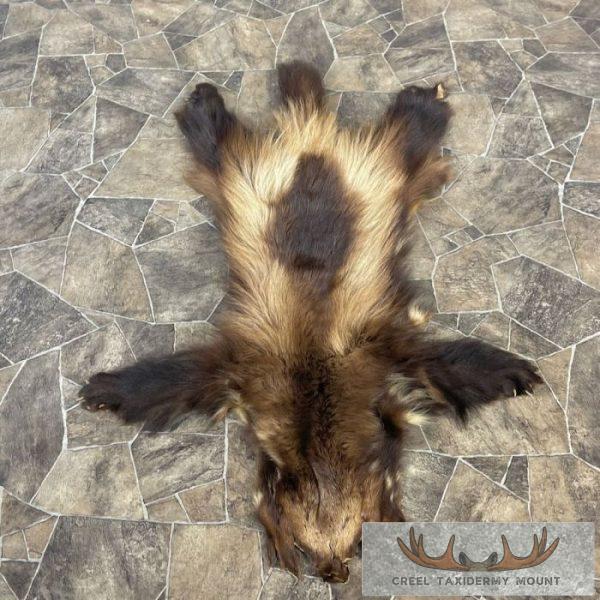 Alaskan Wolverine Tanned Hide For Sale
