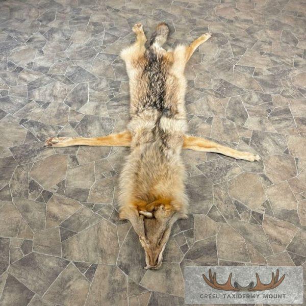 Alaskan Yukon Wolf Tanned Hide For Sale