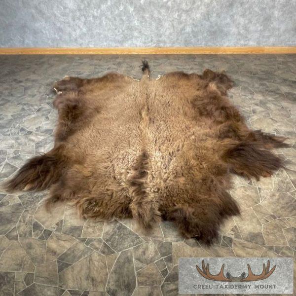 American Buffalo (Bison) Taxidermy Hide For Sale