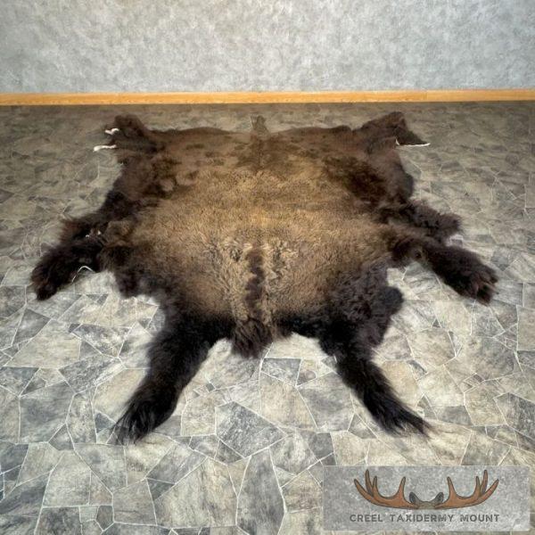 American Buffalo (Bison) Taxidermy Hide For Sale