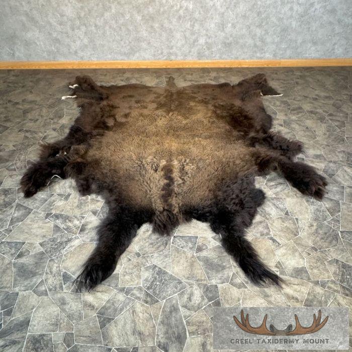 American Buffalo (Bison) Taxidermy Hide For Sale