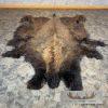 American Buffalo (Bison) Taxidermy Hide For Sale