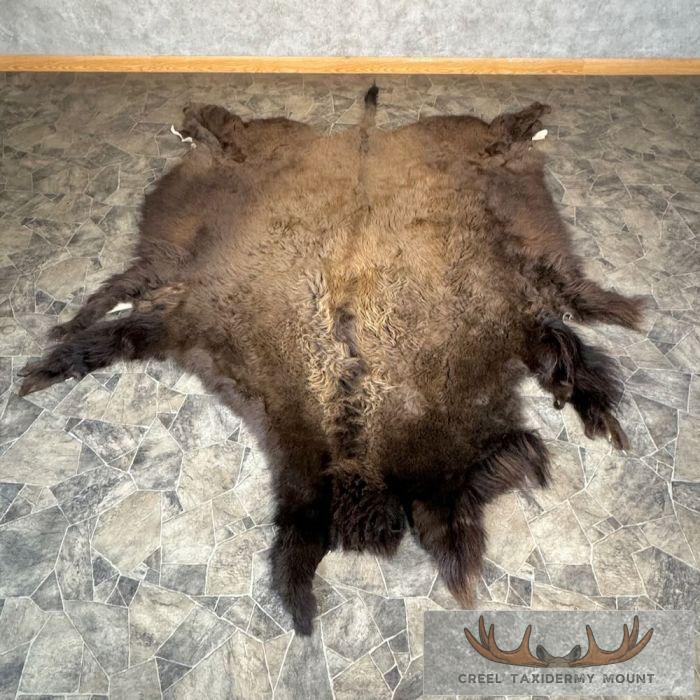 American Buffalo (Bison) Taxidermy Hide For Sale
