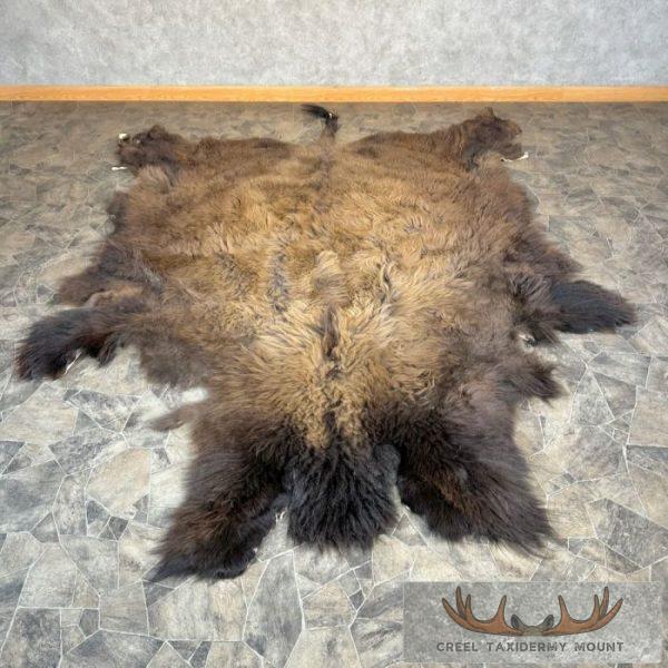 American Buffalo (Bison) Taxidermy Hide For Sale