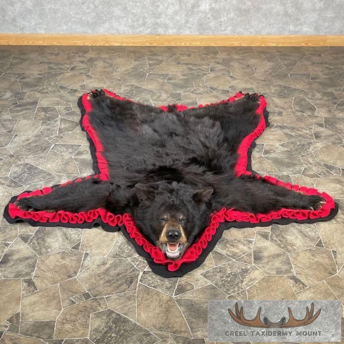 Black Bear Full-Size Taxidermy Rug For Sale