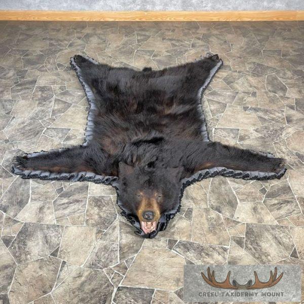 Black Bear Full-Size Taxidermy Rug For Sale