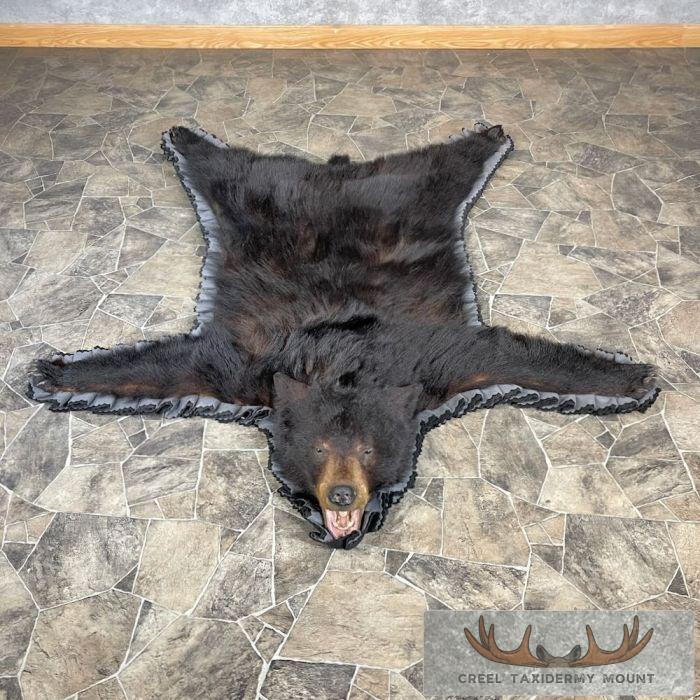 Black Bear Full-Size Taxidermy Rug For Sale