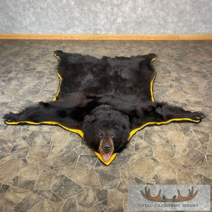 Black Bear Full-Size Taxidermy Rug For Sale