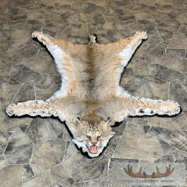 Bobcat Taxidermy Rug Mount For Sale