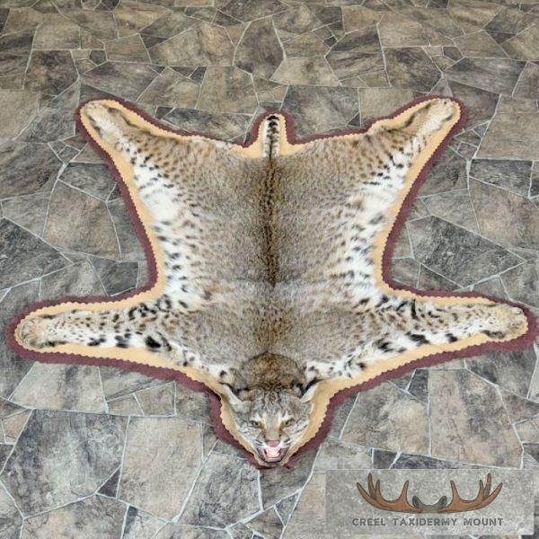 Bobcat Taxidermy Rug Mount For Sale