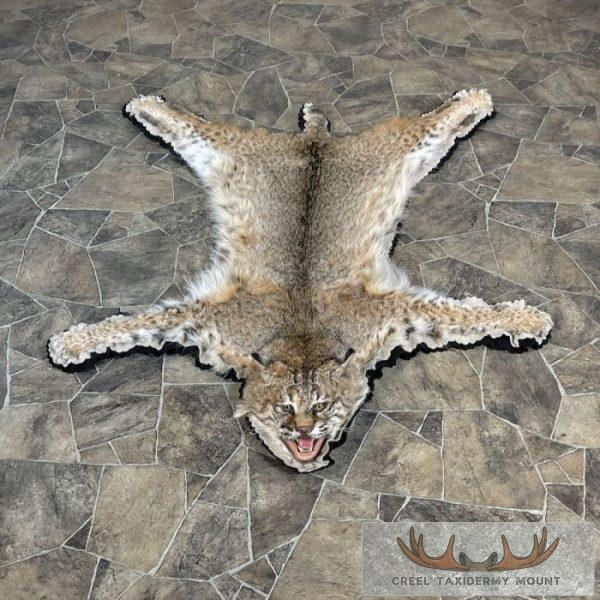 Bobcat Taxidermy Rug Mount For Sale