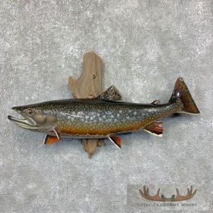 23.25" Reproduction Brook Trout Taxidermy Fish Mount Taxidermy