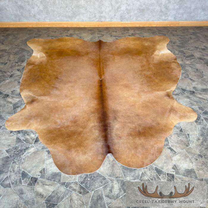Brown Cowhide Taxidermy Skin For Sale