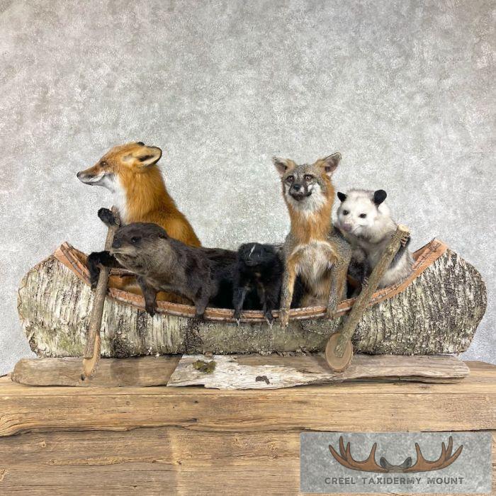 Canoeing "Pals" Novelty Taxidermy Mount For Sale