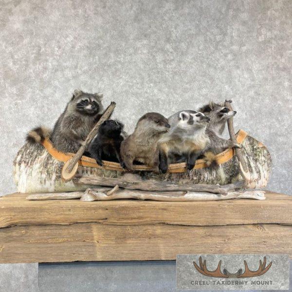 Canoeing "Pals" Novelty Taxidermy Mount For Sale