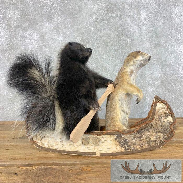 Canoeing "Pals" Skunk and Prairie Dog Novelty Taxidermy Mount For Sale
