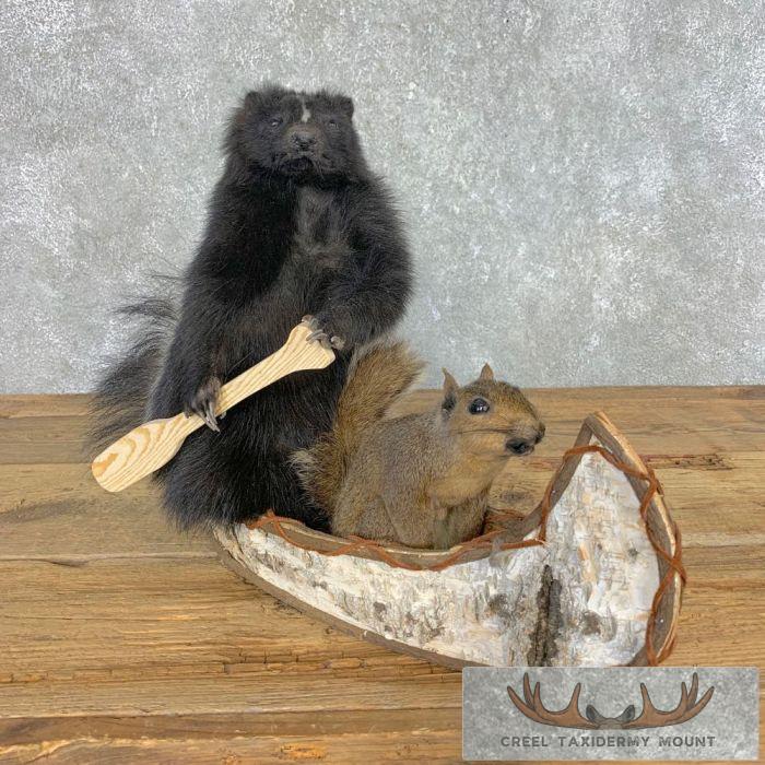 Canoeing "Pals" Squirrel and Skunk Novelty Taxidermy Mount For Sale