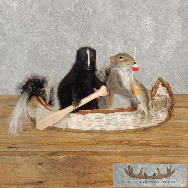 Canoeing Squirrel & Skunk Novelty Taxidermy Mount For Sale