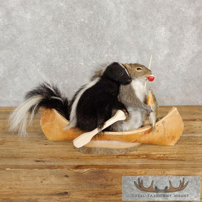 Canoeing Squirrel & Skunk Novelty Taxidermy Mount For Sale