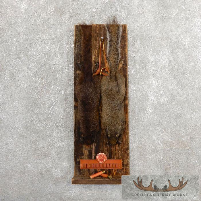 Captain's Classic Black & Grey Squirrel Display For Sale