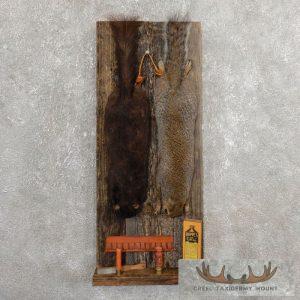 Captain's Classic Black & Grey Squirrel Display Taxidermy